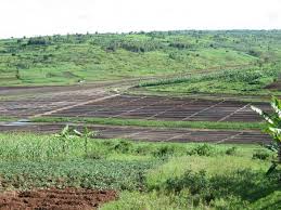 Aménagement hydro agricole